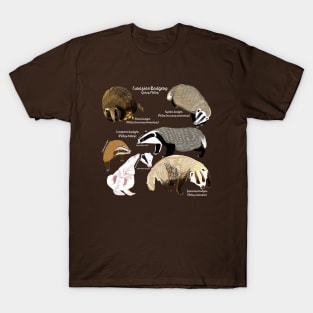 Badgers Meles Genus Poster T-Shirt